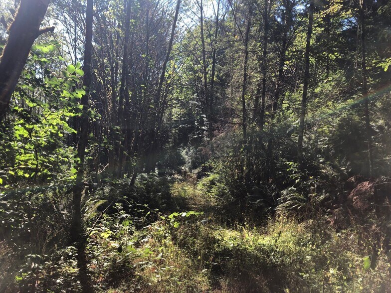 XXX Phillips, Port Orchard, WA à vendre - Autre - Image 3 de 3