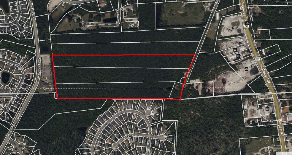 32 Acres Betts Road, Murrells Inlet, SC for sale - Primary Photo - Image 1 of 2