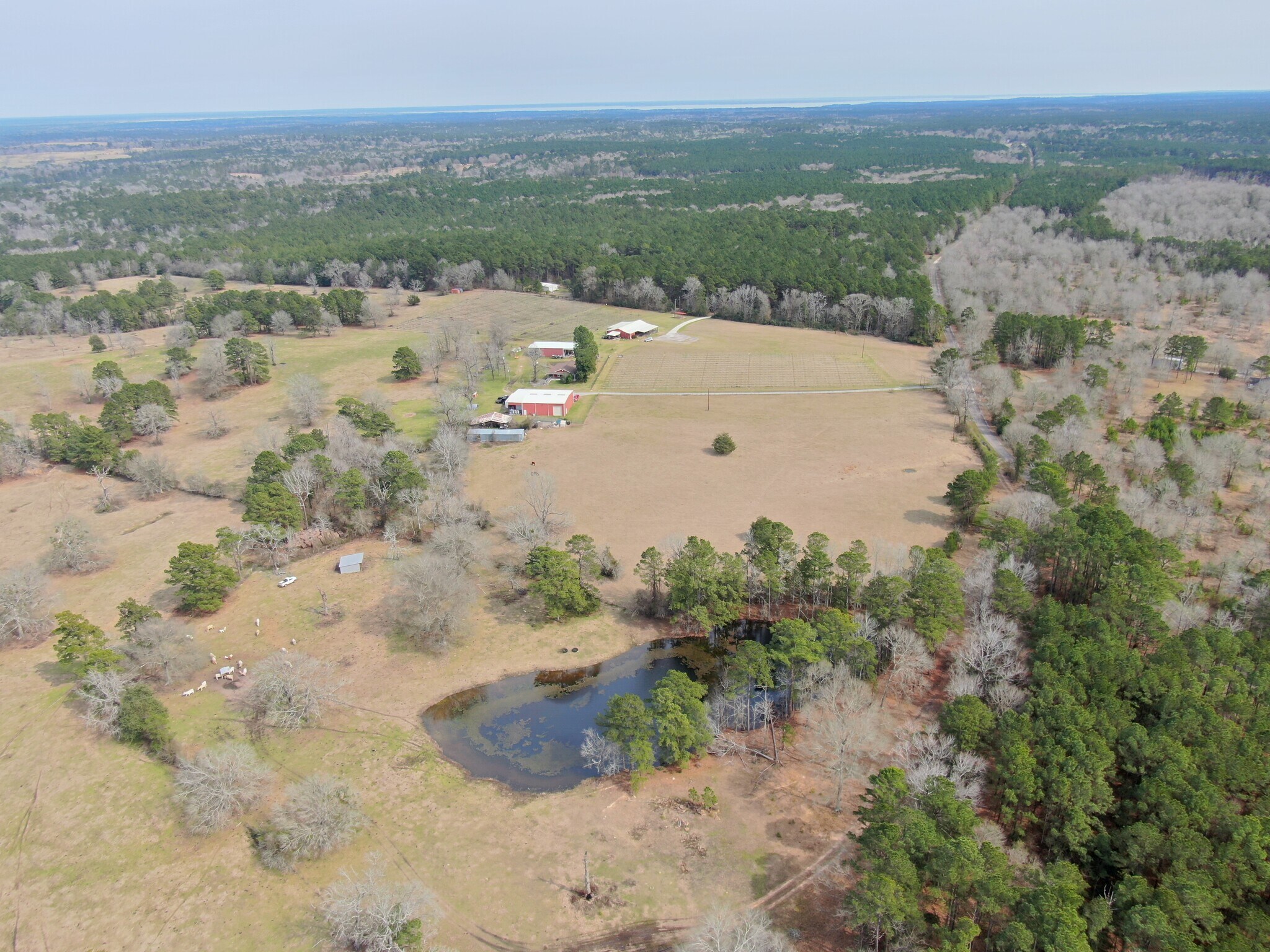 565 Dodge Oakhurst Rd, Huntsville, TX à vendre Photo principale- Image 1 de 5