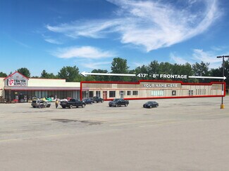 Plus de détails pour 11181 Maple Ridge Rd, Medina, NY - Industriel à louer