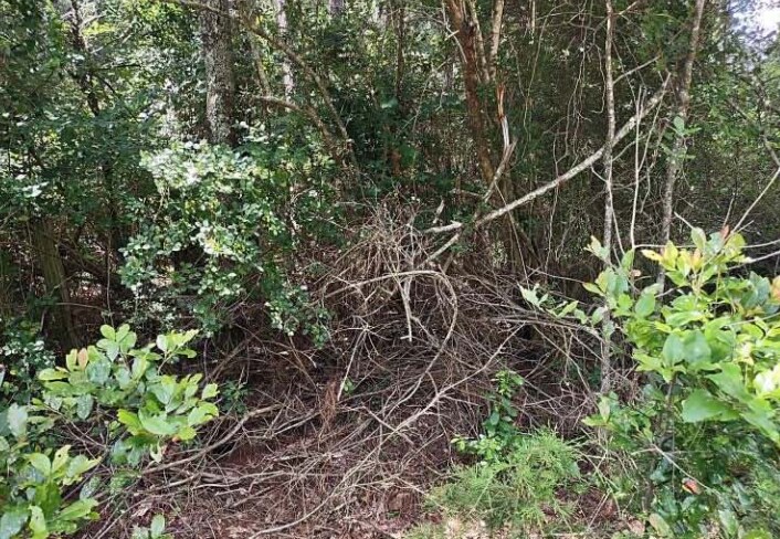 Barnesville Highway, The Rock, GA à vendre - Photo du bâtiment - Image 2 de 8