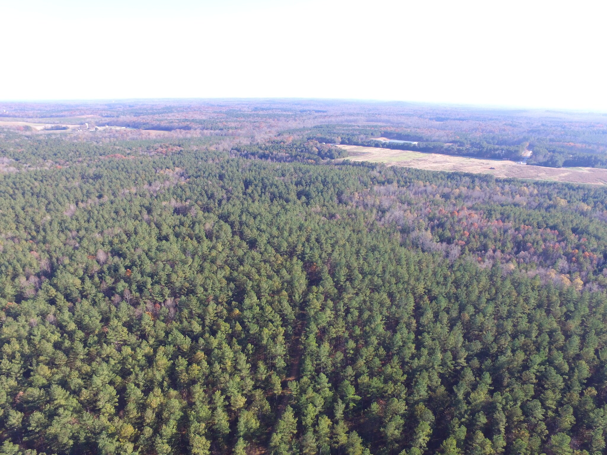 Buckner Clark Rd, Pittsboro, NC for sale Other- Image 1 of 1