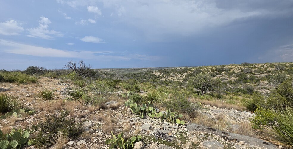 0000 Cactus Rose Ln, Ozona, TX à vendre - Photo du bâtiment - Image 3 de 38