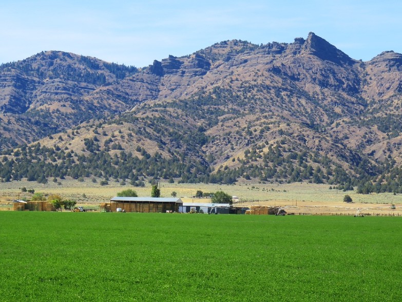 505 Co, Cedarville, CA for sale - Primary Photo - Image 1 of 1