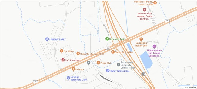 Plus de détails pour 16002 State Road 54, Odessa, FL - Terrain à louer