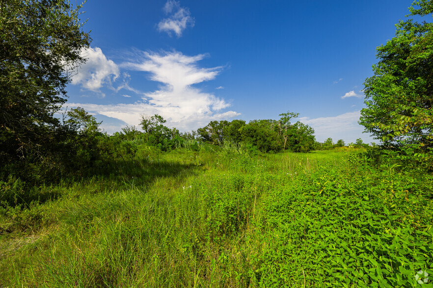 0 Mulberry St, League City, TX à vendre - Photo principale - Image 1 de 11