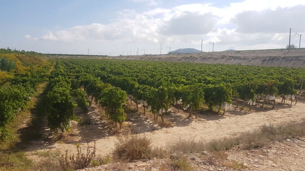Terrain dans Agost, Alicante à vendre - Aérien - Image 3 de 9