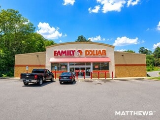 More details for 9290 Lavonia Rd, Carnesville, GA - Retail for Sale