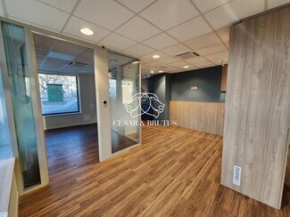 Plus de détails pour 1 Avenue Paul Santy, Lyon - Bureau à vendre