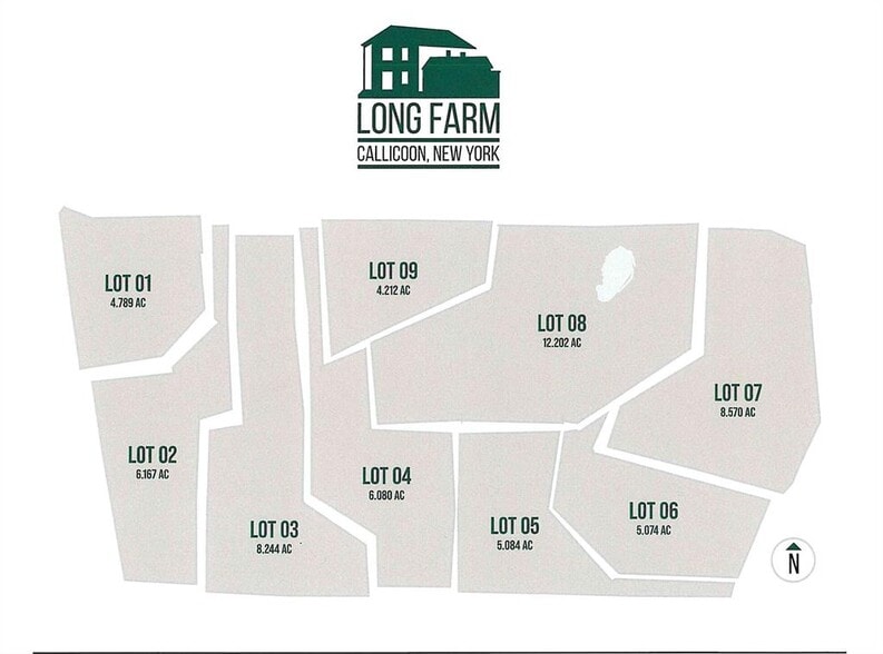 356 Gabel Rd, Callicoon, NY for sale - Building Photo - Image 3 of 50