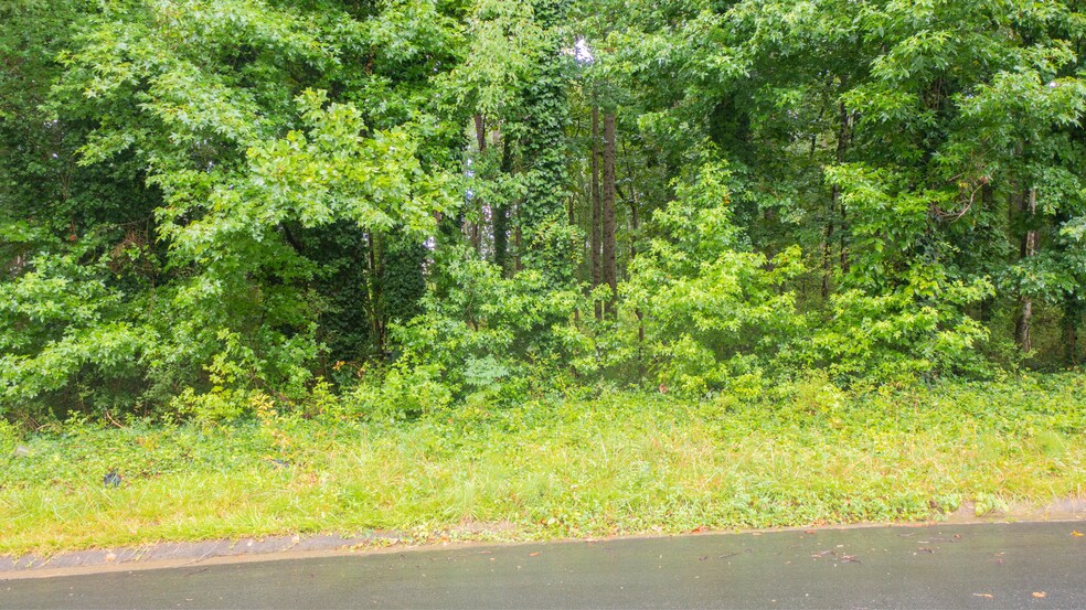 185 Grand Jct, Sharpsburg, GA à vendre - Autre - Image 2 de 28