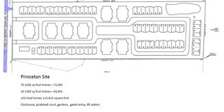 Plus de détails pour 4196 FM 75, Princeton, TX - Terrain à vendre