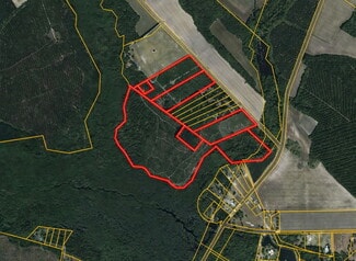 Plus de détails pour McNeill Lake Rd, Lumber Bridge, NC - Terrain à vendre