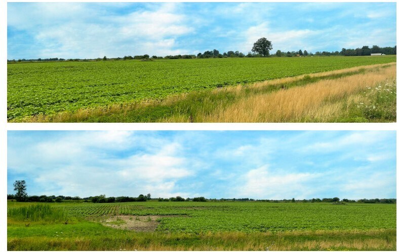 11405 Wonderland Rd, Southwold, ON à vendre Photo principale- Image 1 de 1