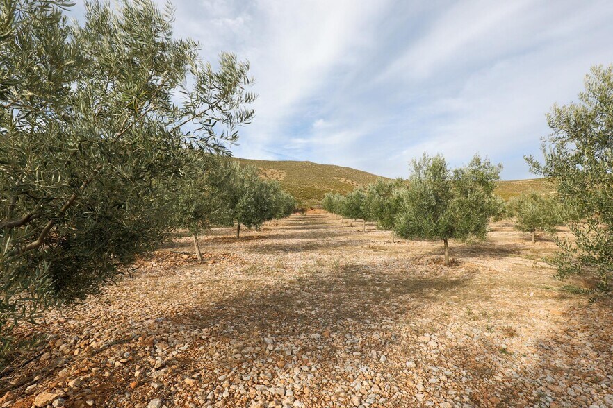 Cijancos, 1-1, Villamena, Granada à vendre - Photo du bâtiment - Image 3 de 29