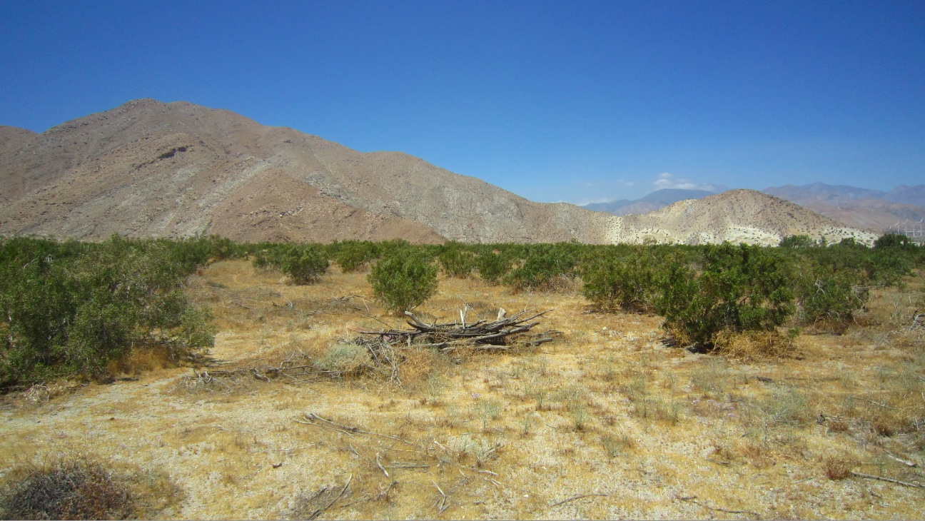 16 Lazy C Ranch Rd, Palm Springs, CA à vendre Photo du bâtiment- Image 1 de 1