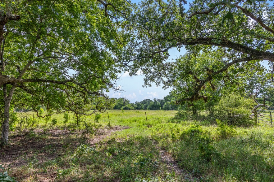 11480 N Dowling Rd, College Station, TX for sale - Other - Image 2 of 22