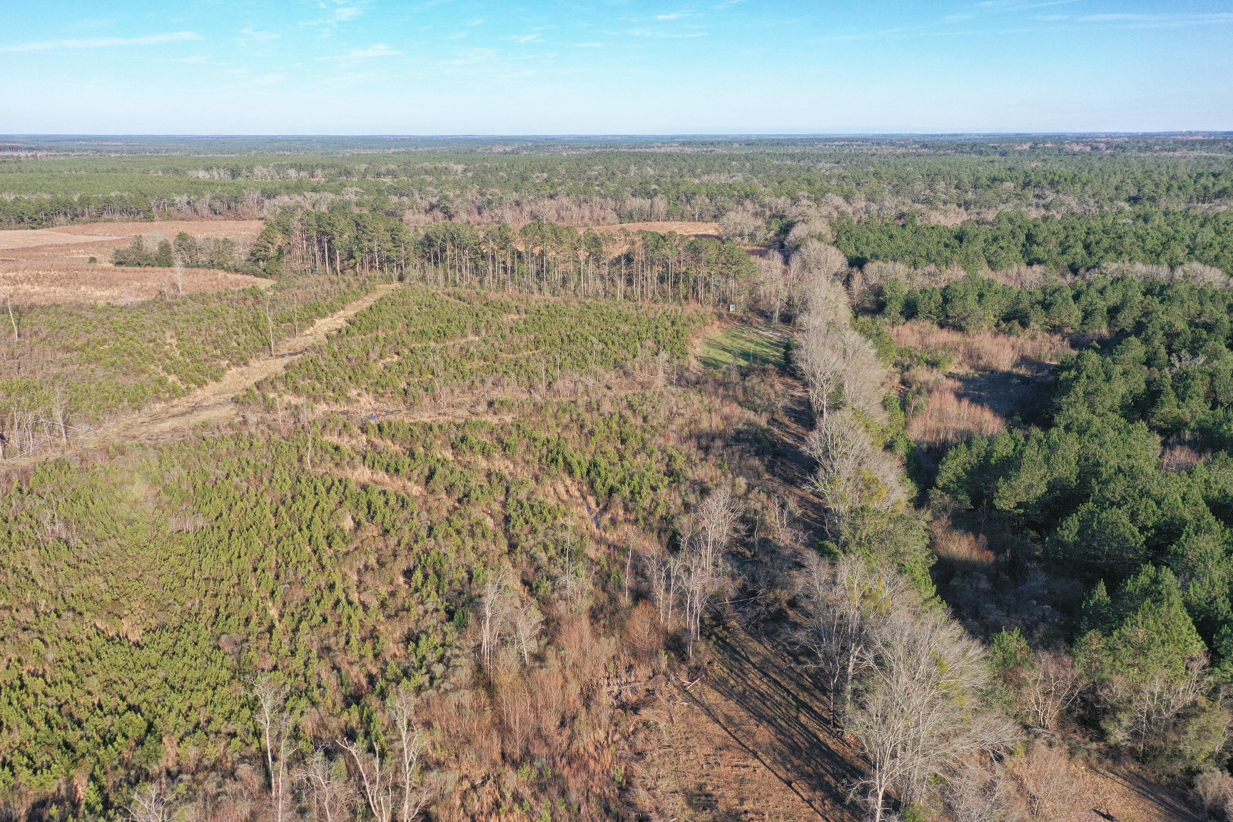 30380 County Road 49, Loxley, AL for sale Building Photo- Image 1 of 1