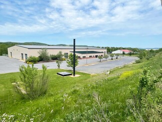 Plus de détails pour 76 Odell Rd, Muncy, PA - Industriel à vendre