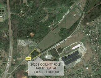 More details for 30228 County Road 21, Talladega, AL - Land for Sale