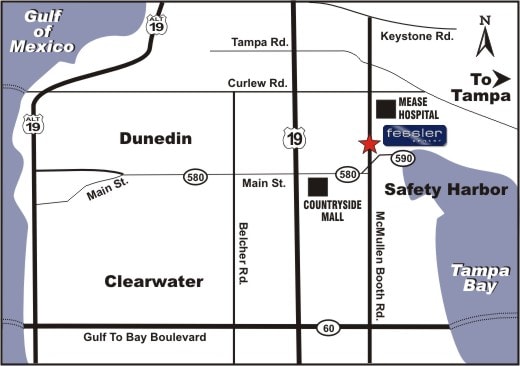 3165 McMullen Booth Rd, Clearwater, FL for lease - Other - Image 2 of 4