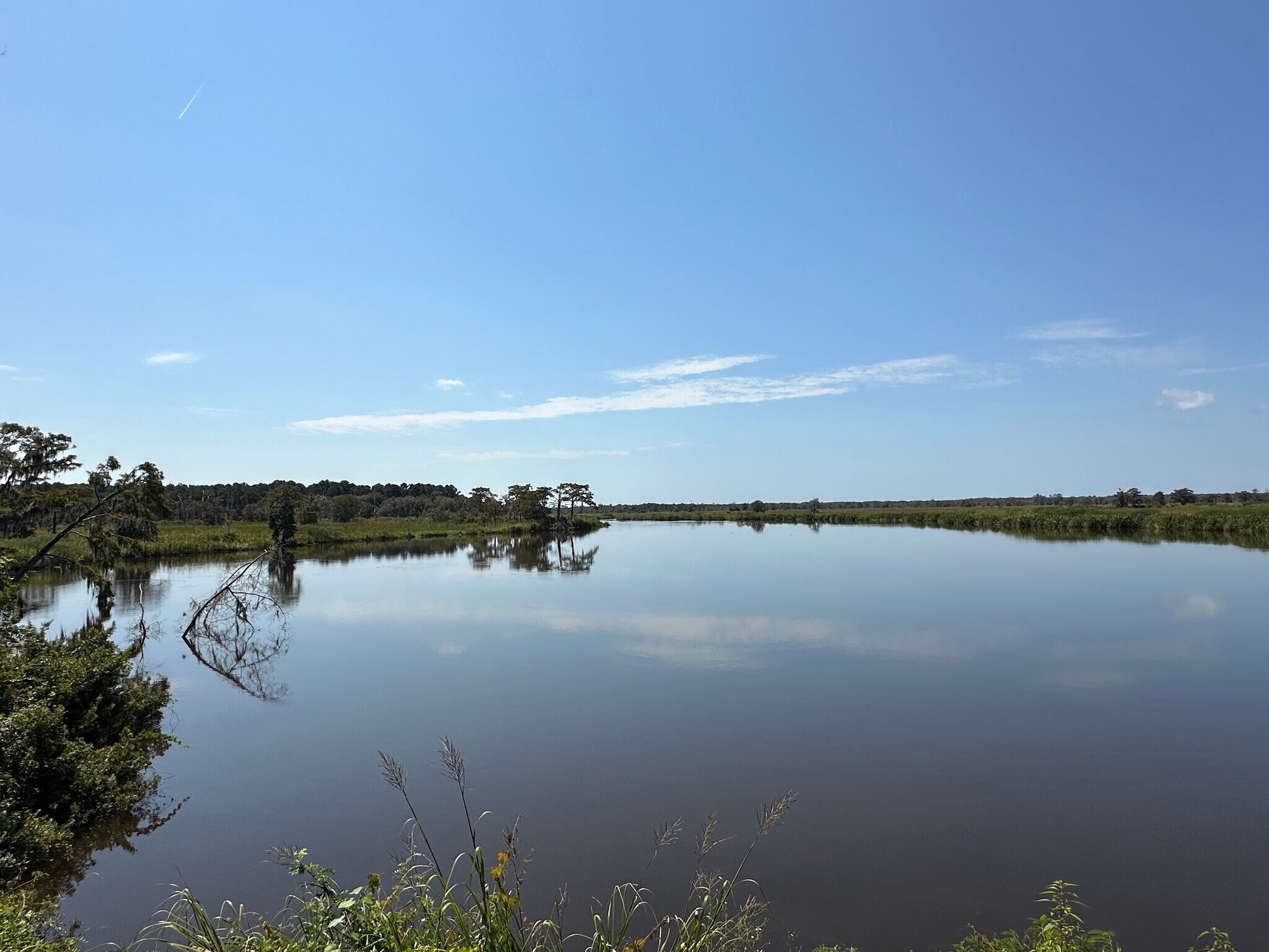 1231 River Dr, Darien, GA for sale Primary Photo- Image 1 of 12