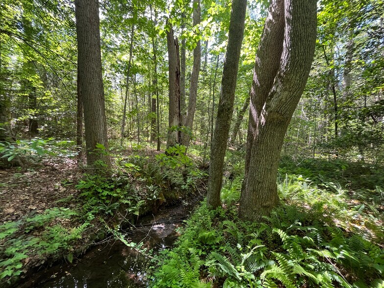 00 00 Youngstown Rd, Goochland, VA à vendre - Aérien - Image 3 de 12