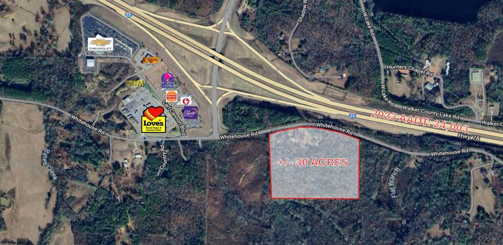 Whitehouse rd, Jasper, AL for sale - Aerial - Image 1 of 1