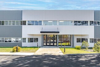 Plus de détails pour 243-247 Route 100, Somers Township, NY - Bureau, Local d'activités à louer