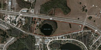 Plus de détails pour 14325 Black Lake Rd, Odessa, FL - Terrain à vendre