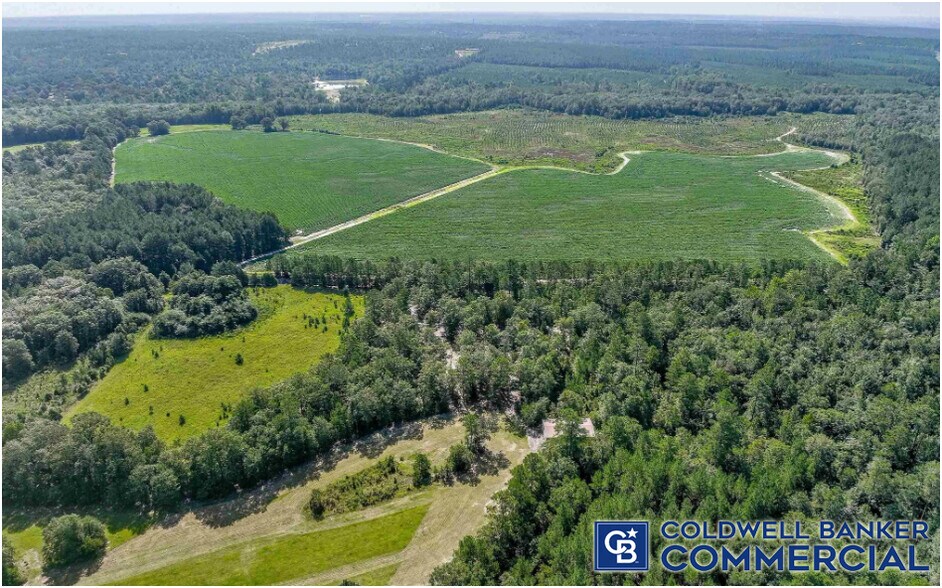 1340 Clayton Rd, Ridge Spring, SC à vendre - Photo du bâtiment - Image 3 de 17