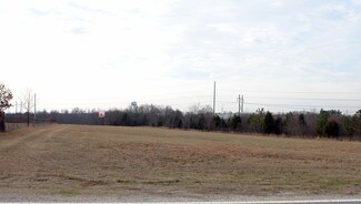 Plus de détails pour 301 Webb Rd, Williamston, SC - Terrain à louer