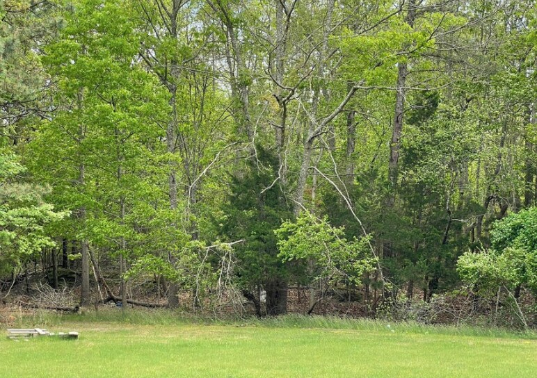 0 East Main St, Tuckerton, NJ à vendre - Photo du bâtiment - Image 3 de 9