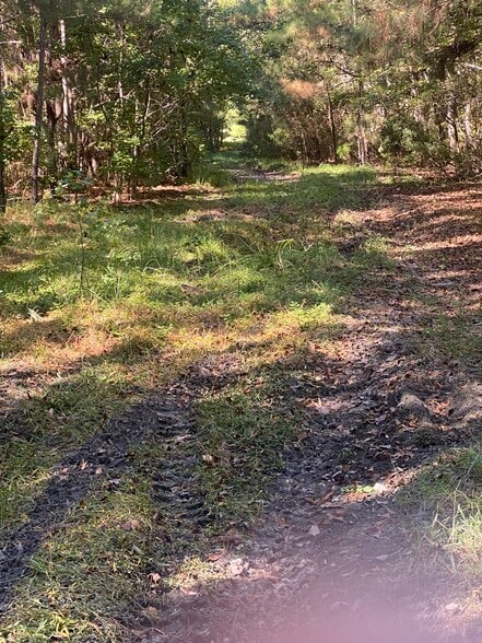 259 Interstate View Drive, Ridgeville, SC for sale - Building Photo - Image 3 of 3