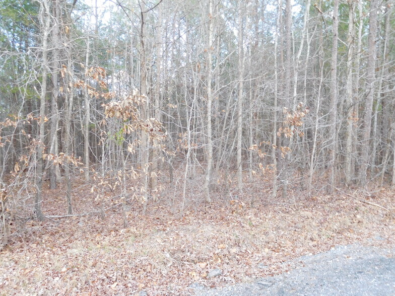 TBD Tanner Road, Smyrna, SC for sale - Building Photo - Image 3 of 4