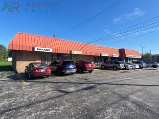 Plus de détails pour 32801 Vine St, Willowick, OH - Commerce de détail à vendre