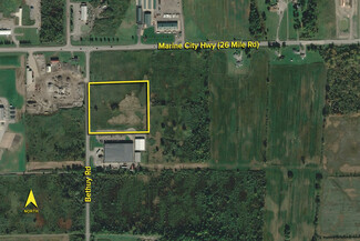 More details for Bethuy Rd, Ira Township, MI - Land for Sale