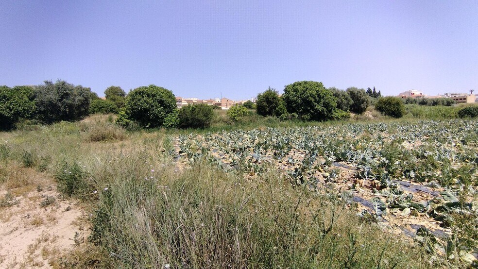 Land in Calasparra, Murcia for sale - Site Plan - Image 3 of 7