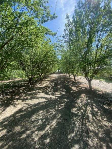 14468 16th Ave, Lemoore, CA for sale - Primary Photo - Image 1 of 1