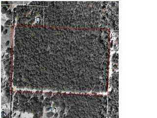 Plus de détails pour 1111 Sam O'Neal Rd, Baker, FL - Terrain à vendre