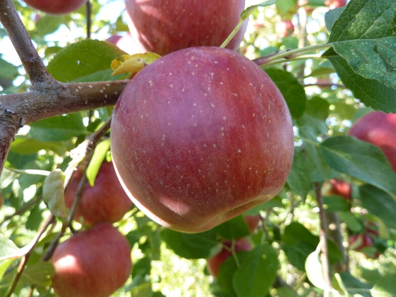 157 Hergenrider Rd, Bridger, MT for sale - Building Photo - Image 2 of 52