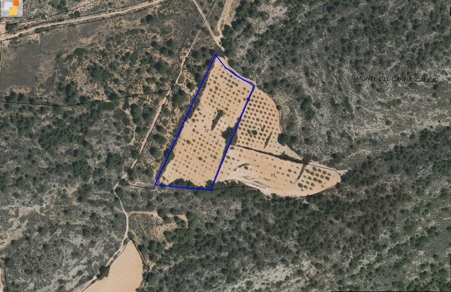 Land in San José, Yecla, Ayuntamiento, MURCIA for sale - Building Photo - Image 3 of 6