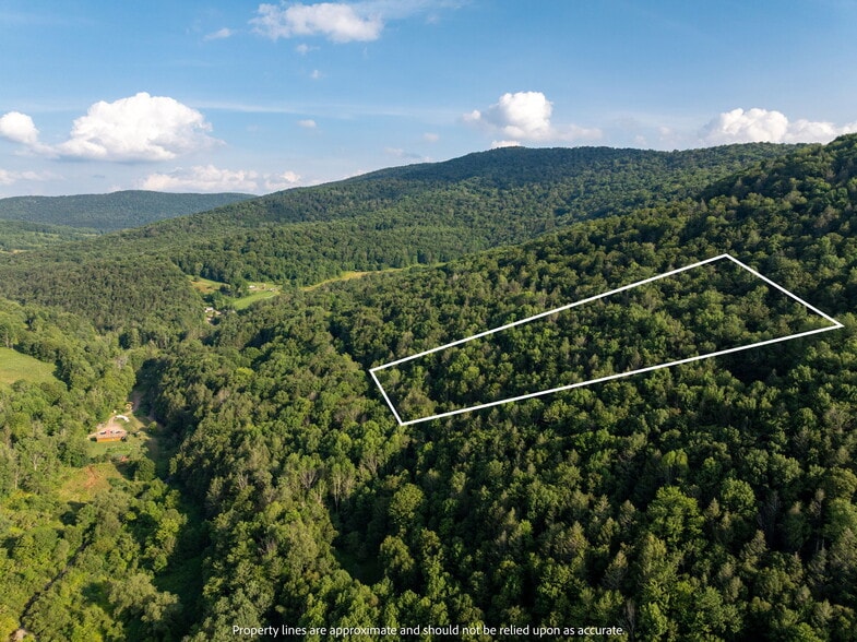 Broadchannel Road, Andes, NY à vendre - Photo du bâtiment - Image 3 de 26