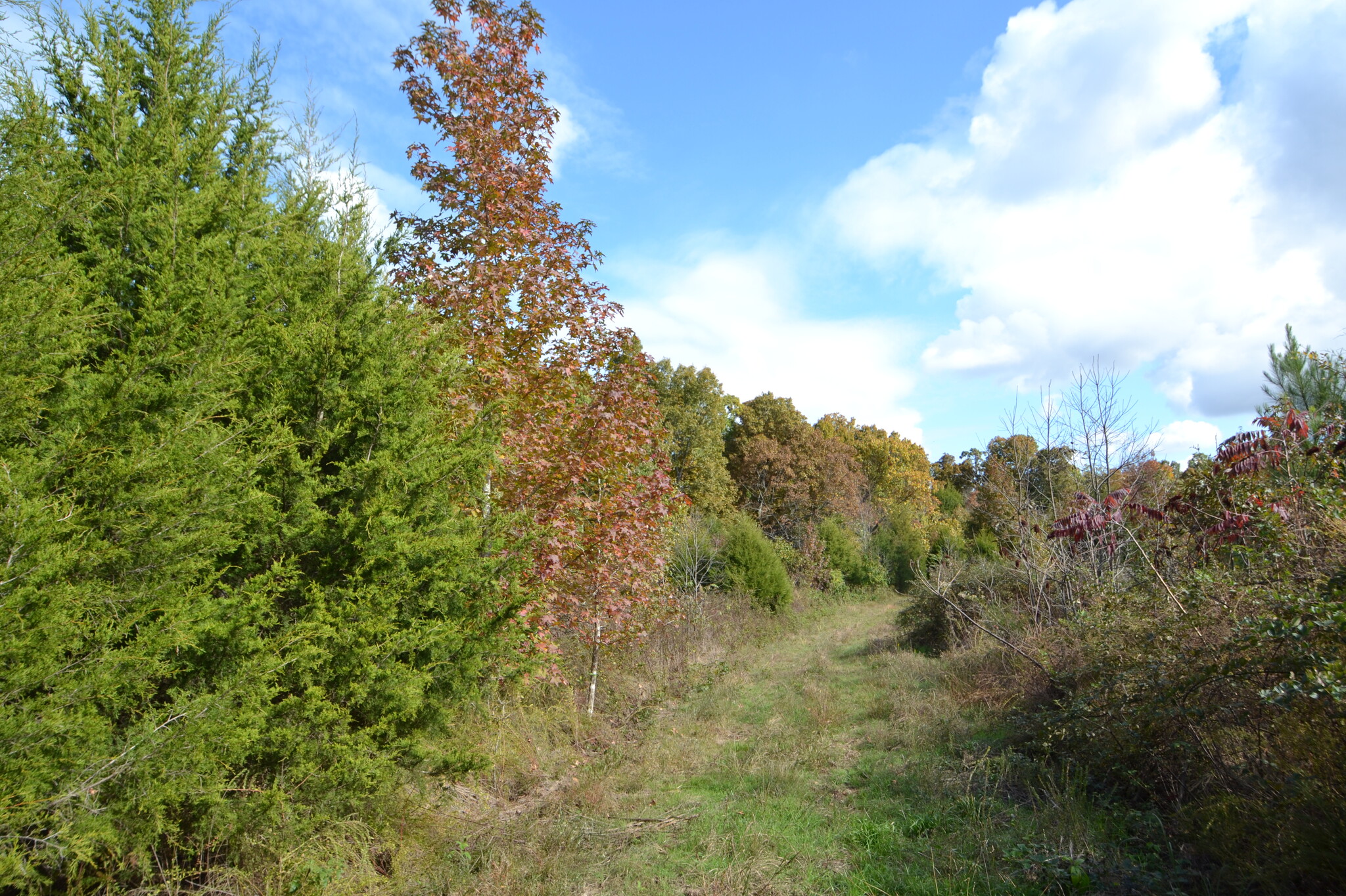 0 Tinsley Rd, Gadsden, TN for sale Other- Image 1 of 5