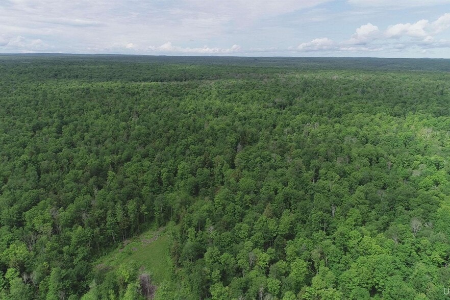 Laird Road Rd, Pelkie, MI for sale - Aerial - Image 2 of 13