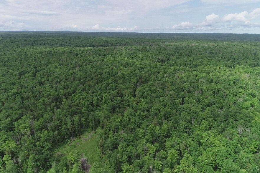 Laird Road Rd, Pelkie, MI à vendre - Aérien - Image 2 de 13