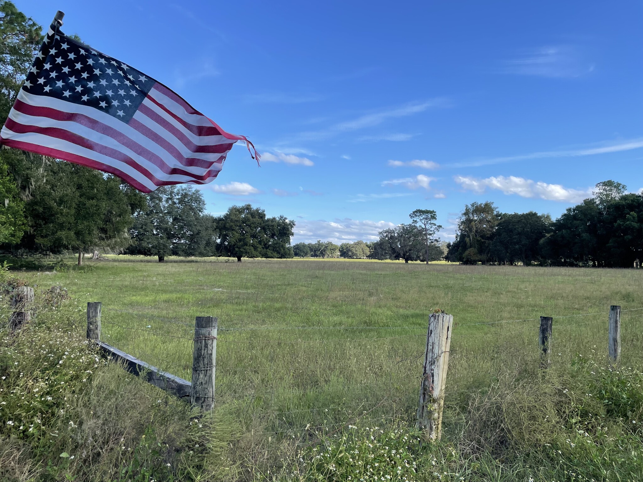 8487 State Road 471, Webster, FL for sale Primary Photo- Image 1 of 22