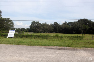 Plus de détails pour 11102 N US Highway 301, Thonotosassa, FL - Terrain à vendre