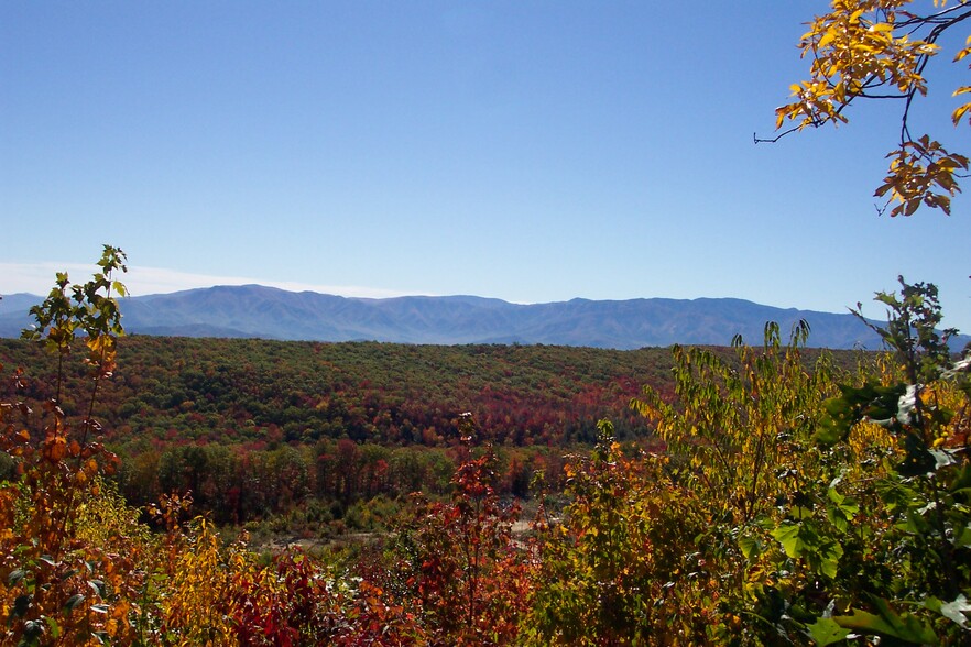 English Mountain Rd, Newport, TN à vendre - Photo principale - Image 1 de 1