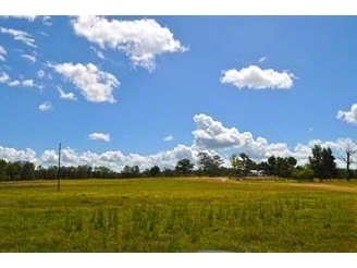 0 Glen Cathey Rd, Groveton, TX à vendre - Photo principale - Image 1 de 1